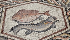 Le signe du Poissons